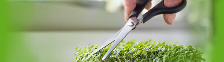 kuechenutensilien kategorieeinstiegsbanner